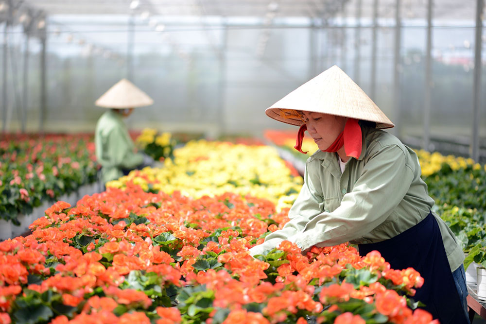 Sở GTVT tỉnh Lâm Đồng đề nghị các nhà xe không tăng giá cước vận chuyển